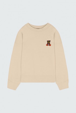 Barrow Iconic Teddy Crewneck Uomo Felpe Marroni | 682475-NDG